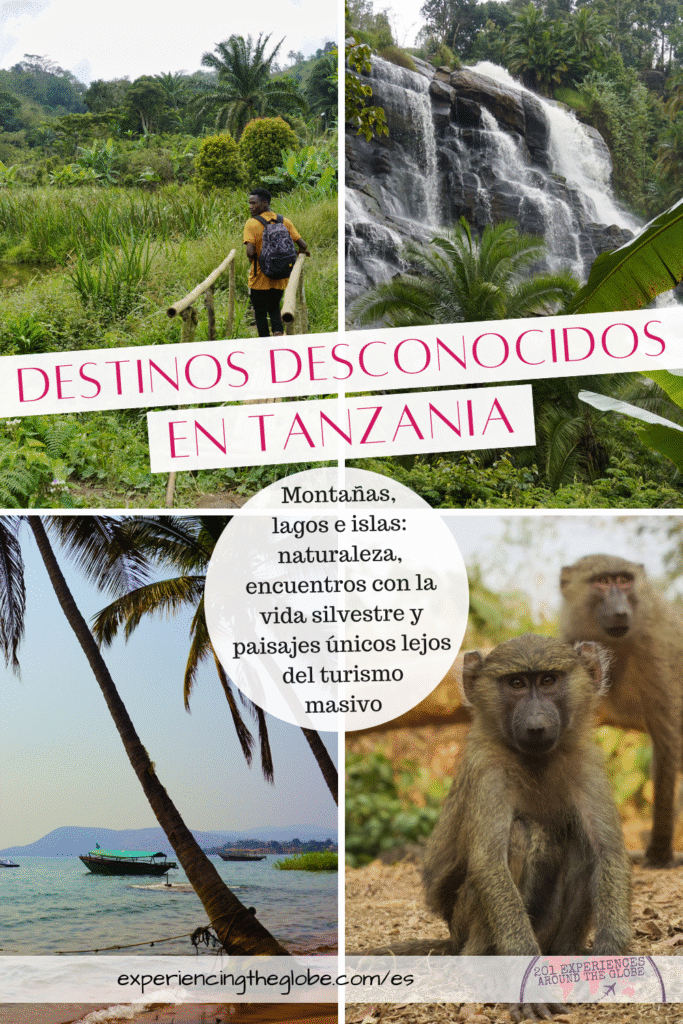 Explora montañas, lagos e islas entre los destinos desconocidos en Tanzania: naturaleza, encuentros con vida silvestre y paisajes únicos lejos del turismo masivo