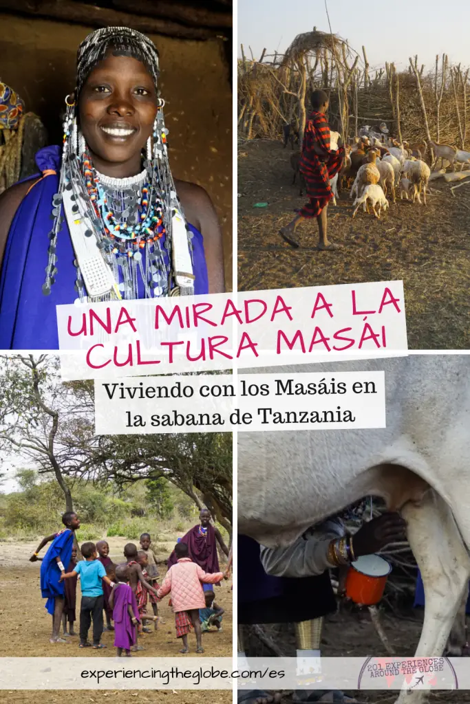 Vivir con los Masáis en la sabana de Tanzania no es fácil, pero es una increíble ventana a la cultura Masái. Durante mis días con los Masái aprendí sobre su cosmovisión, el rol de cada género, la crianza de los niños, sus ritos de iniciación a la adultez, el consumo de sangre, y mucho más. Acompáñame en este relato sobre el mundo de una fascinante tribu – Experiencing the Globe