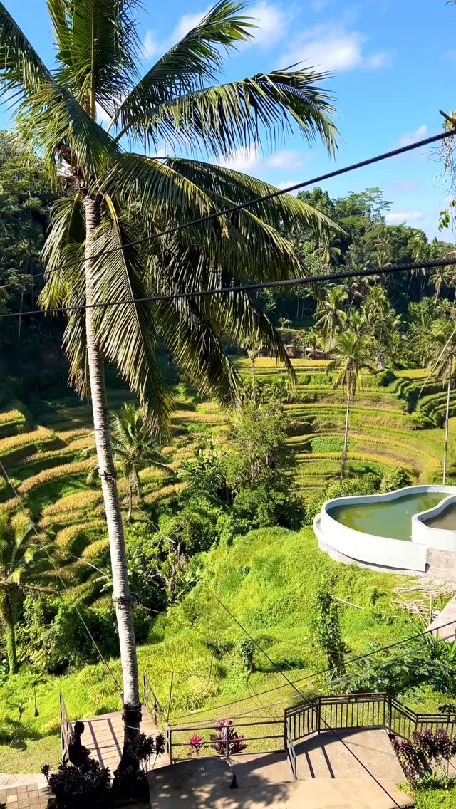 Some days I’m Superwoman. Other days, I find myself questioning the things we all take for granted.

Today, I’m both. 

Here I am gliding over a rice terrace in Bali. Meanwhile, over on the blog, I’m talking about something that shapes the way we see the world: our maps.

Because every world map you’ve ever seen is, in some way, lying to you.

Curious? I explain why (and show just how misleading our most familiar maps can be) in my latest post.

Link in bio.

#geopolitics #maplovers #travelcurious #cartography #meaningfultravel