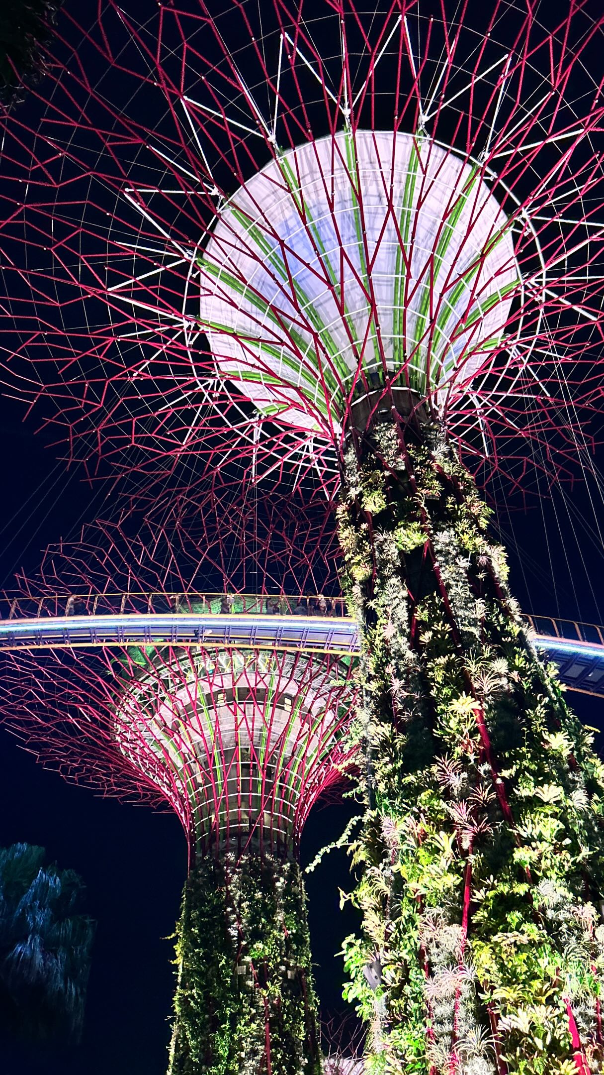 Singapore has a reputation.

Most people think of futuristic skyscrapers, spotless streets, luxury hotels and strict rules.

They’re not wrong. But they’re only seeing half the picture.

What surprised me most wasn’t the skyline, it was everything underneath it. Neighborhoods shaped by centuries of migration. A food scene where Michelin stars and few-dollar meals are both extraordinary. Rainforests minutes from the financial district. A country that has somehow made room for nature, history and dozens of cultures.

I came expecting an engineered city-state. I left thinking about its soul.

Have you ever been surprised by a place that turned out to be completely different from what you expected?

🇸🇬 Full Singapore post is now live on the blog

#singaporetravel #traveltolearn #alwaysexploring #meaningfultravel #singaporeforeveryone