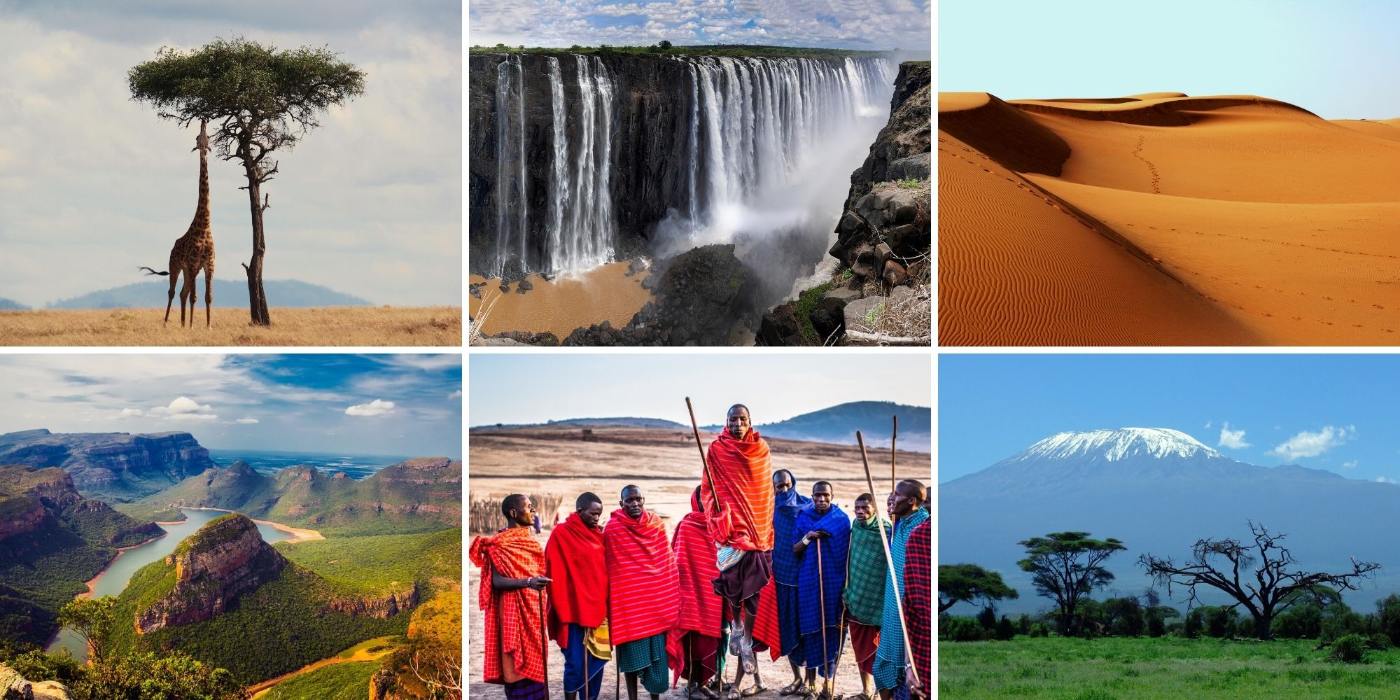 Africa's diversity