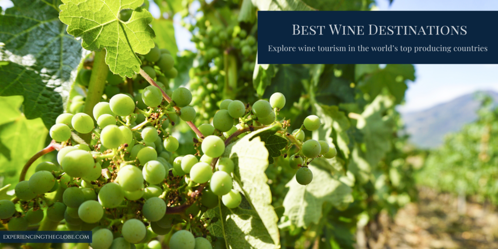 Best Wine Destinations Around the World - All you need to know about the best wine destinations: an overview of top wine-producing countries, the finest regions for wine tourism, and labels to try