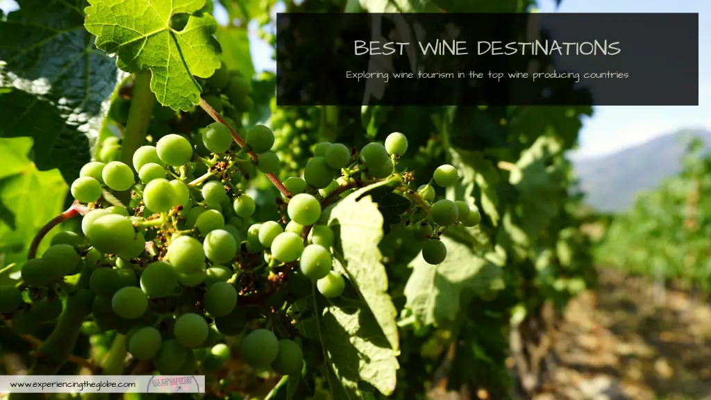 Here’s everything you need to know to get acquaintance with the best wine destinations of the world: an overview to understand each country better, a brief description on the top regions to visit, and suggestions on which wines to try. Welcome to the wine world! – Experiencing the Globe #WineDestinations #WineTourism #DestinationsForWineLovers #OldWorldWine #NewWorldWine