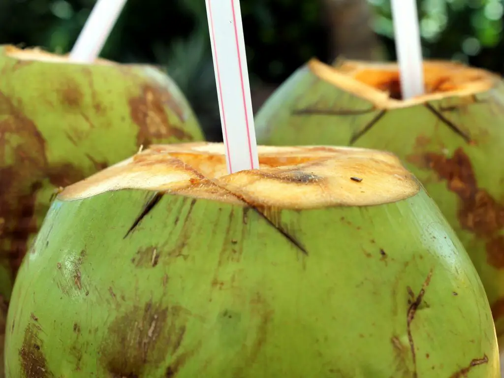 Caipirinha in a coconut, Bahia, Brazil