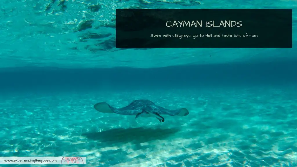 Swimming with stingrays after visiting a rum factory near Hell? Those are just some of the top things to do in the Cayman Islands! There’s so much more than turquoise beaches in this Caribbean paradise! – Experiencing the Globe #StingrayCity #CaymanIslands #Caribbean #LatinAmerica #CentralAmerica #UnitedKingdom #Stingrays #SwimWithStingrays #Georgetown #TravelExperiences #BeautifulDestinations #Wanderlust