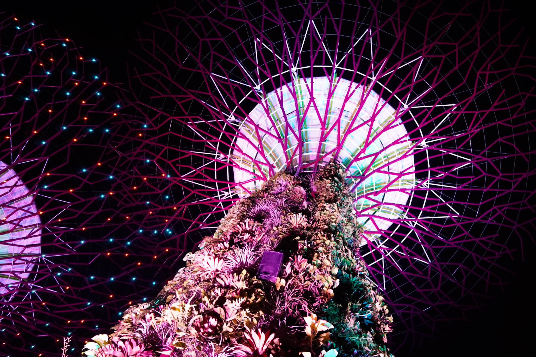 Gardens by the Bay at night, Supertrees lit up, Singapore - Experiencing the Globe