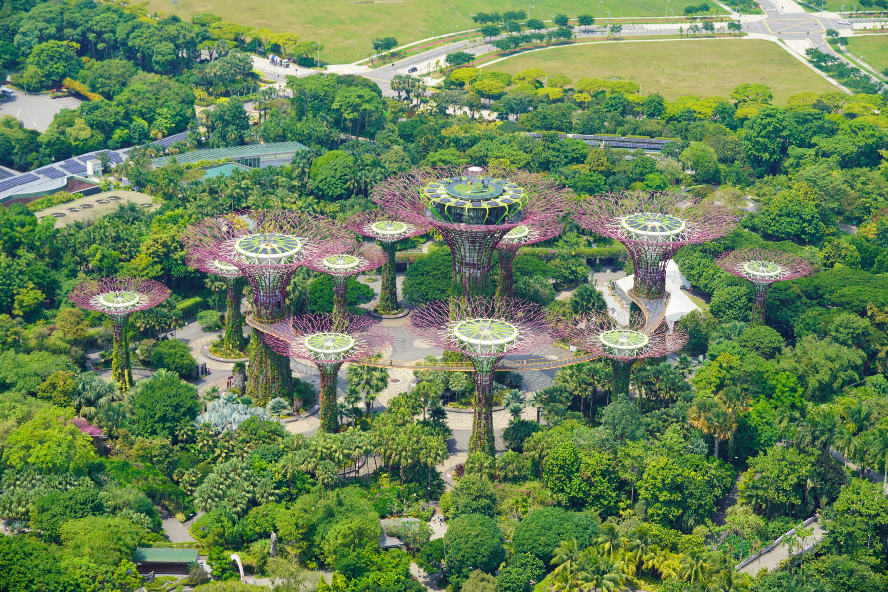 Gardens by the Bay from above, Singapore - Experiencing the Globe