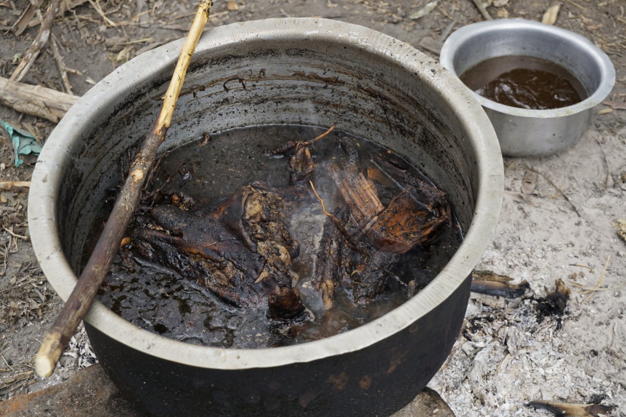 Head of the sheep, roots and herbs boiling to make a medicinal broth, Tanzania - Experiencing The Globe