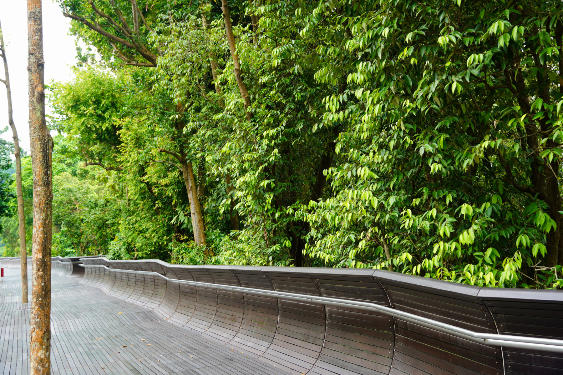 Henderson Waves, Singapore - Experiencing the Globe