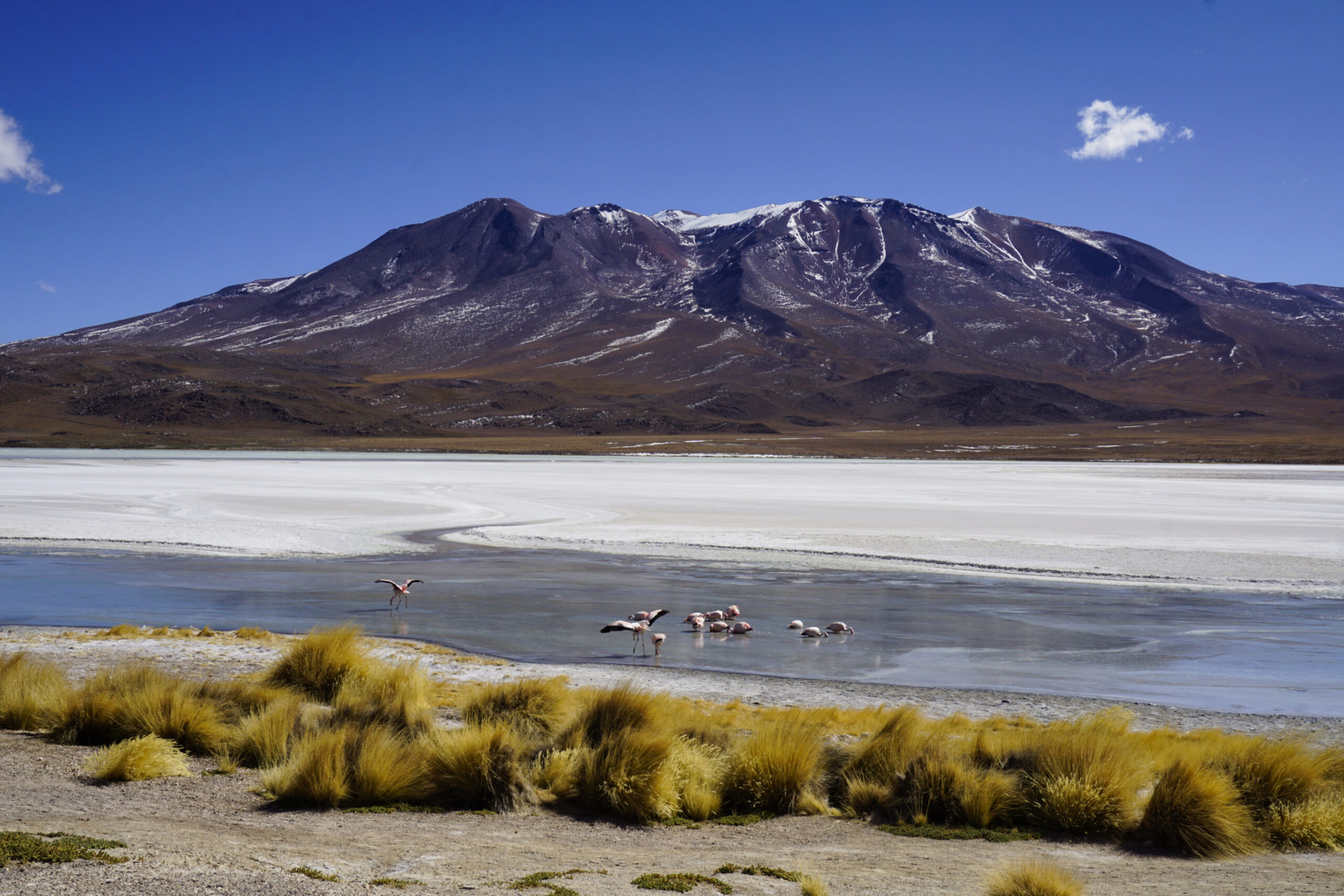 Laguna Hedionda, Eduardo Avaroa Reserve, Bolivia - Experiencing the Globe