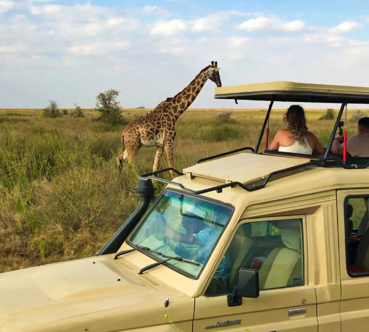 Land Cruiser next to the giraffes, Serengeti National Park, Tanzania - Experiencing the Globe