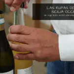Las rutas del vino de Sicilia Occidental, un viaje lento entre sabores, paisajes e historias - Experiencing the Globe