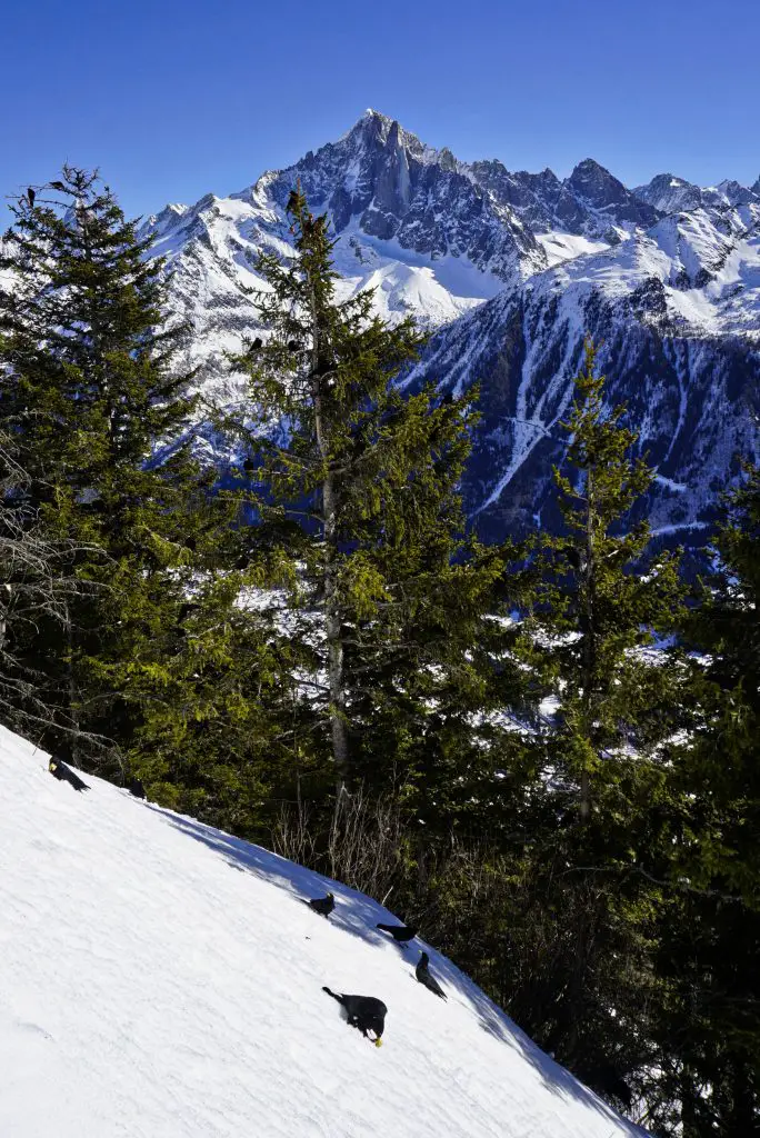 Le Brévent, Chamonix, France