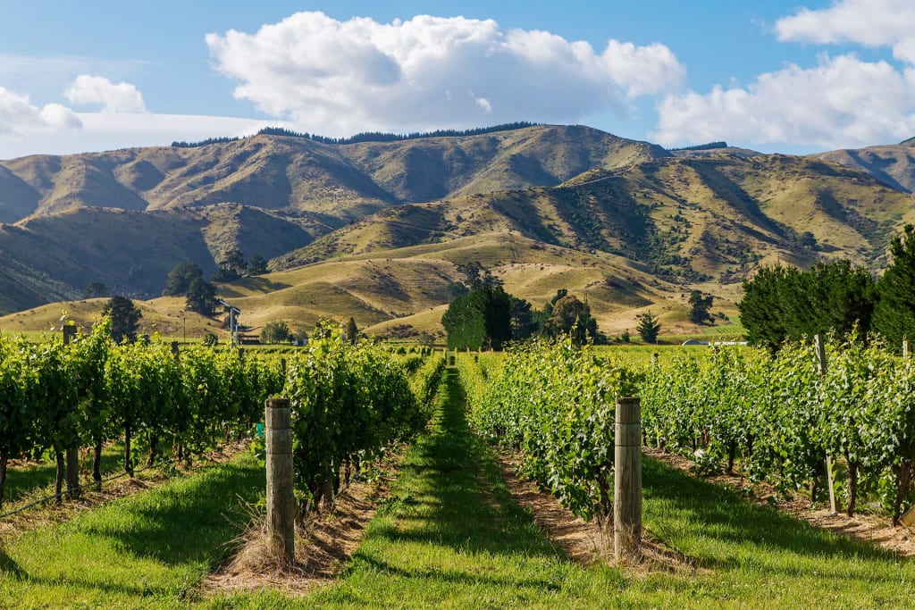 Marlborough region, New Zealand wine