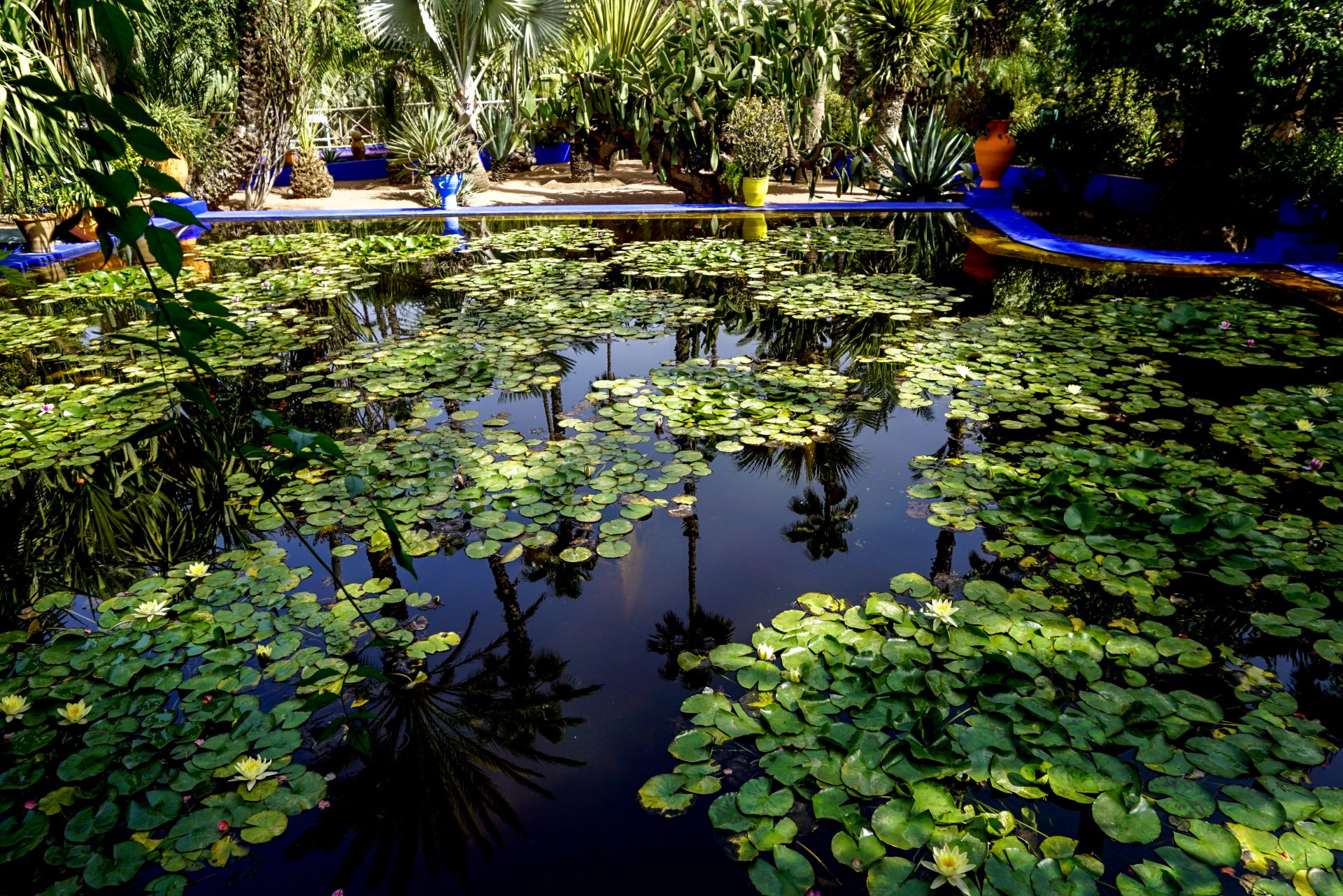 Majorelle Garden, Marrakesh, Morocco - Experiencing the Globe