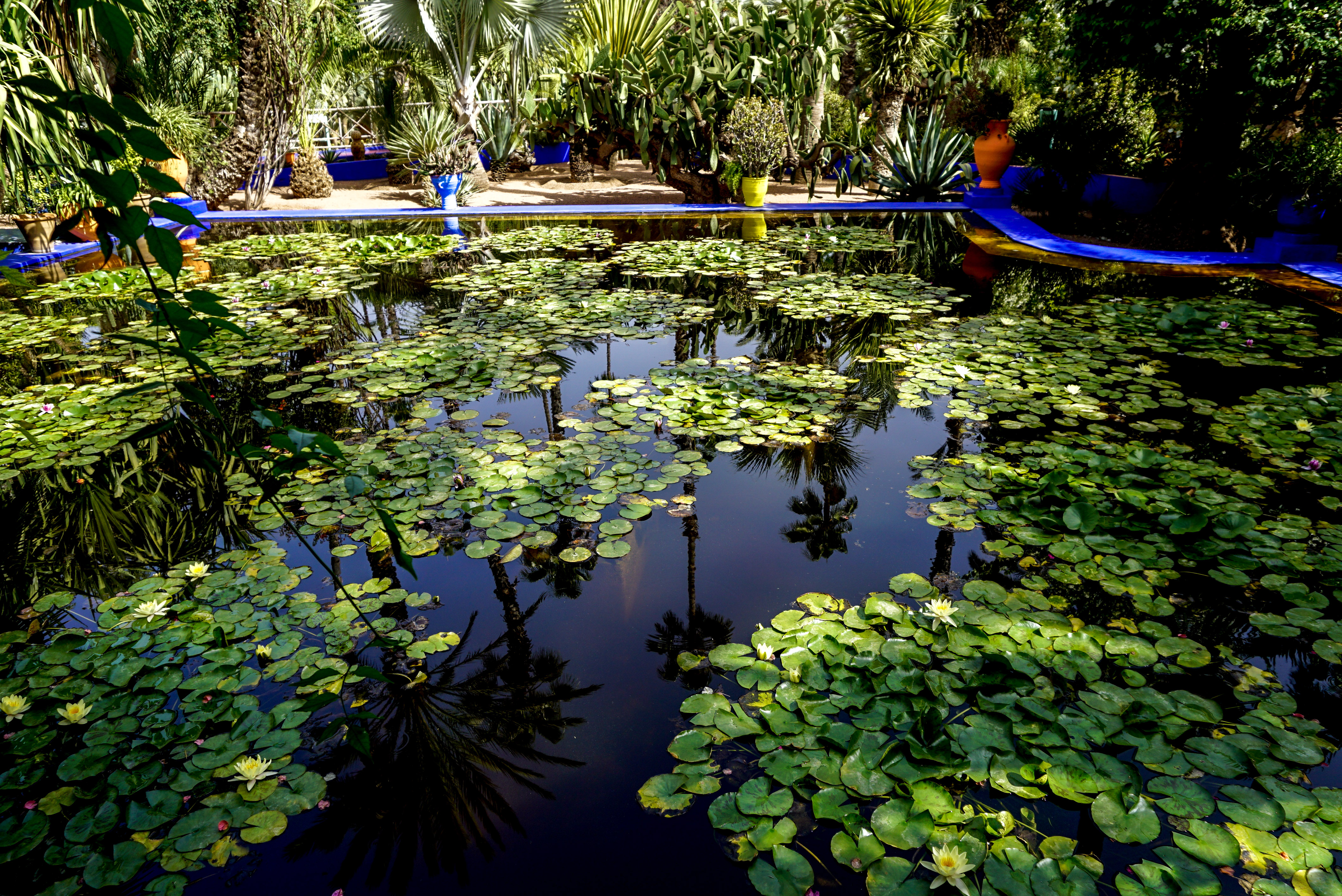 Majorelle Garden Marrakesh Morocco