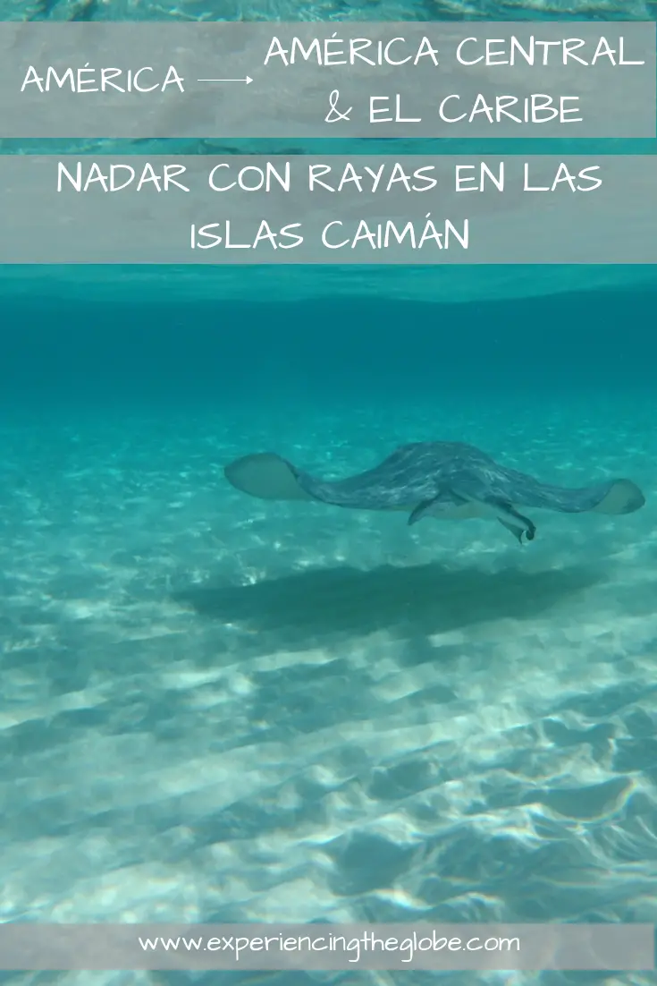 Nadar con rayas en las Islas Caimán