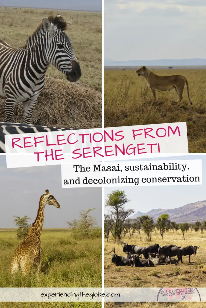 Conservation is deeply rooted in colonialism, with decisions being made without accounting the worldview of the indigenous peoples that have inhabited and protected the land from millennia. Since the focus is on tourism in Serengeti instead than in the wildlife and the environment, we need to fill the void and take action to make our visit more sustainable, while learning about the situation to push towards decolonizing conservation – Experiencing the Globe