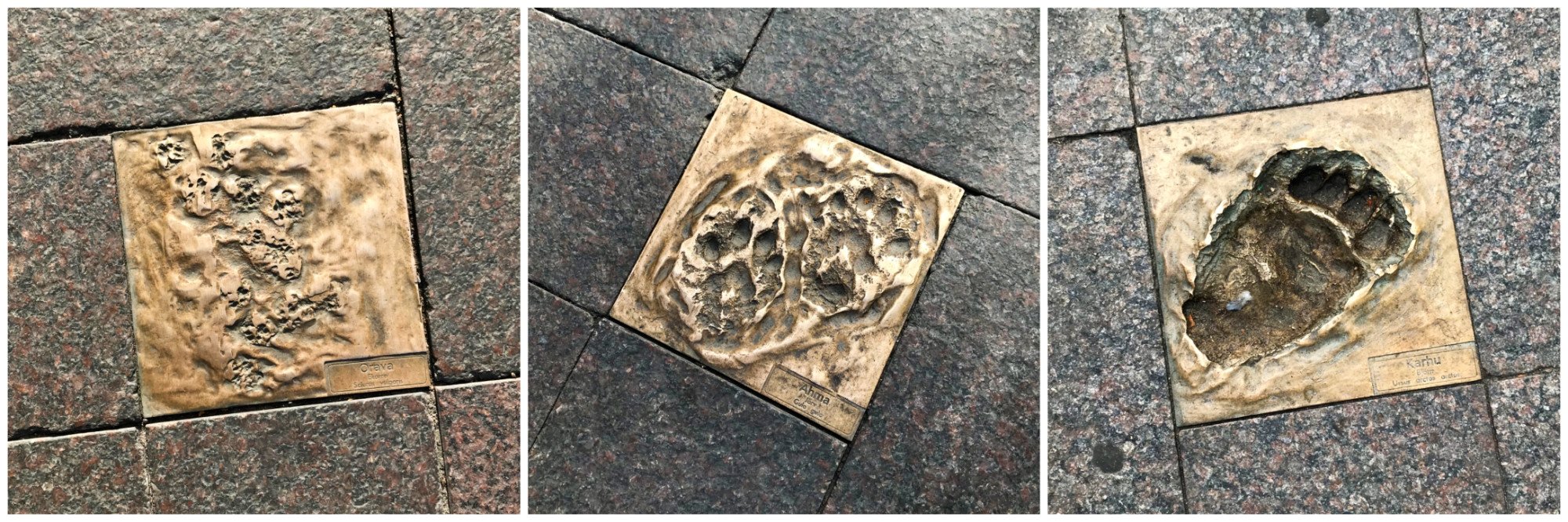 Silent Footprints, Helsinki, Finland - Experiencing the Globe