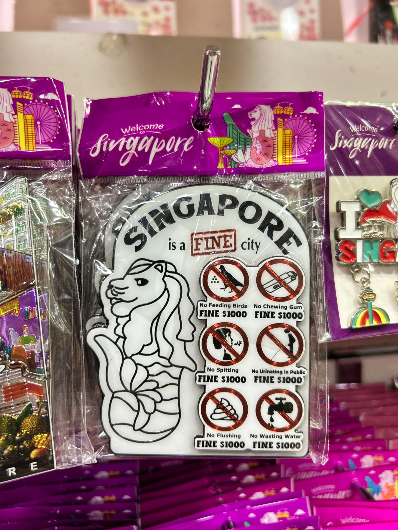 Singapore is a fine city magnet, Singapore - Experiencing the Globe