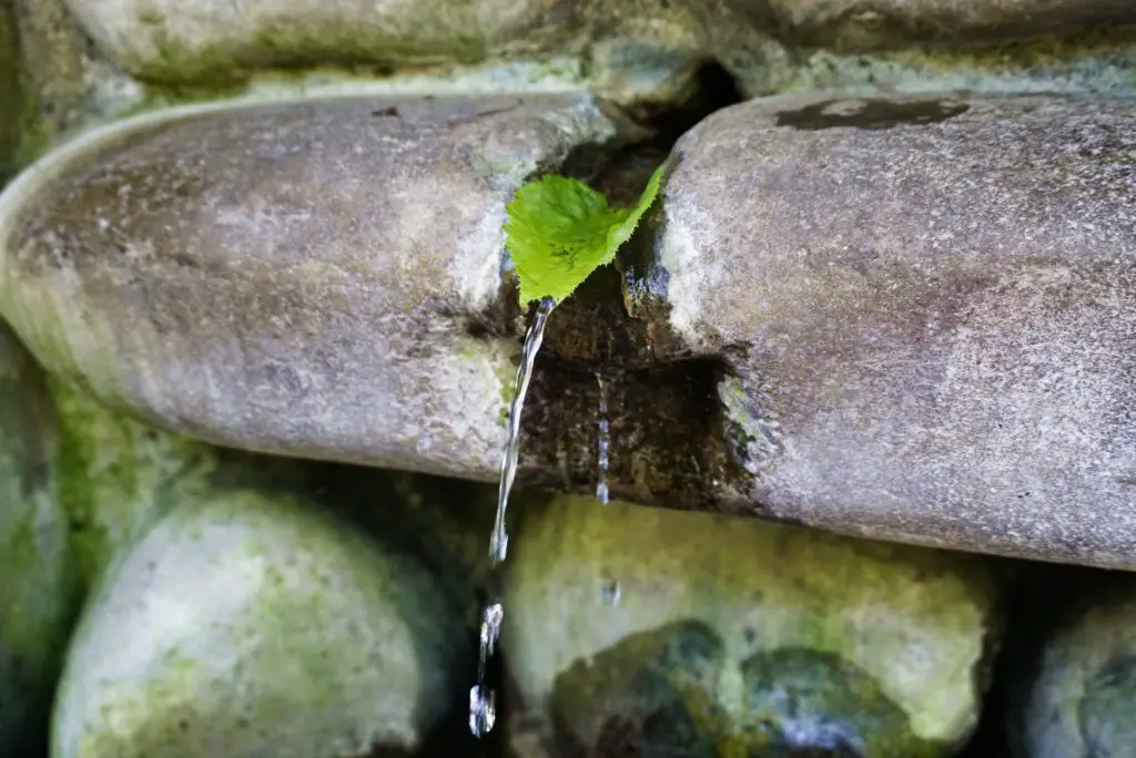 St. Nino spring, Kakheti, Georgia - Experiencing the Globe
