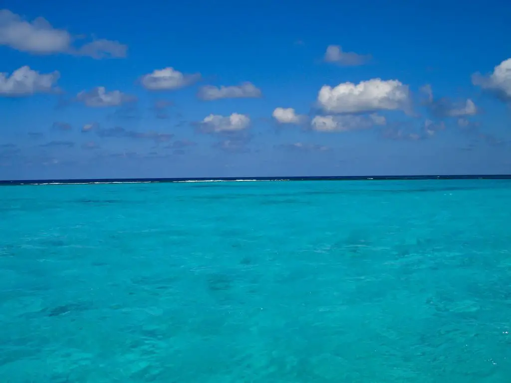 Stingray City, Cayman Islands