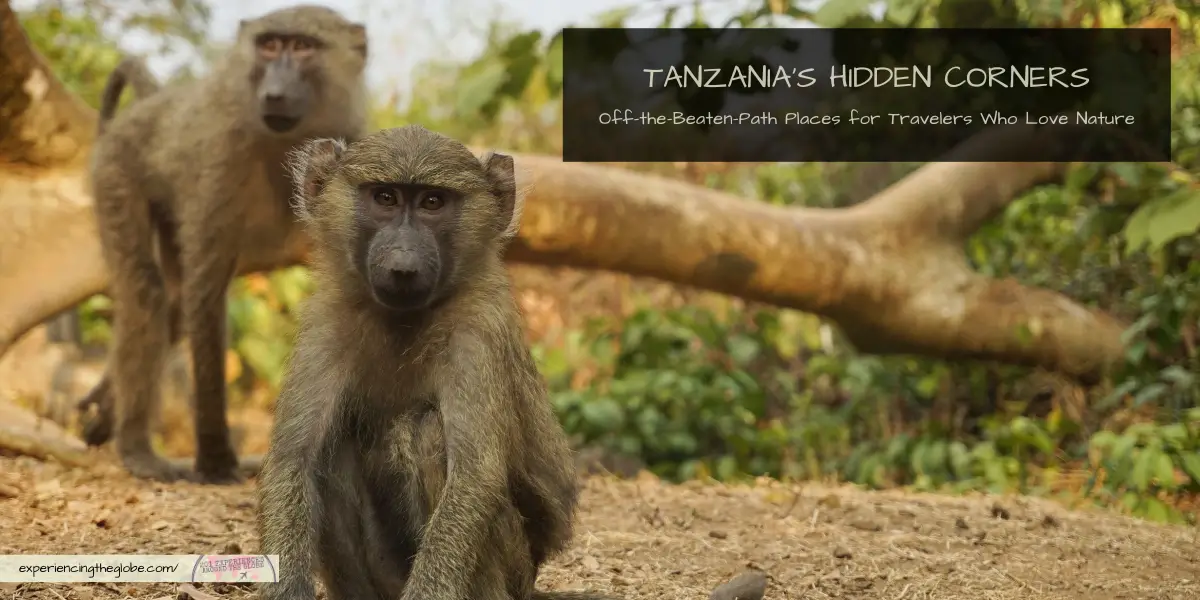 Looking to explore Tanzania off the beaten path? This guide takes you to its hidden corners –from misty mountains and remote lakes to ancient cultures and island wildlife. A slow-travel journey into wild landscapes, village life, and places most travelers never see (or have even heard of) 