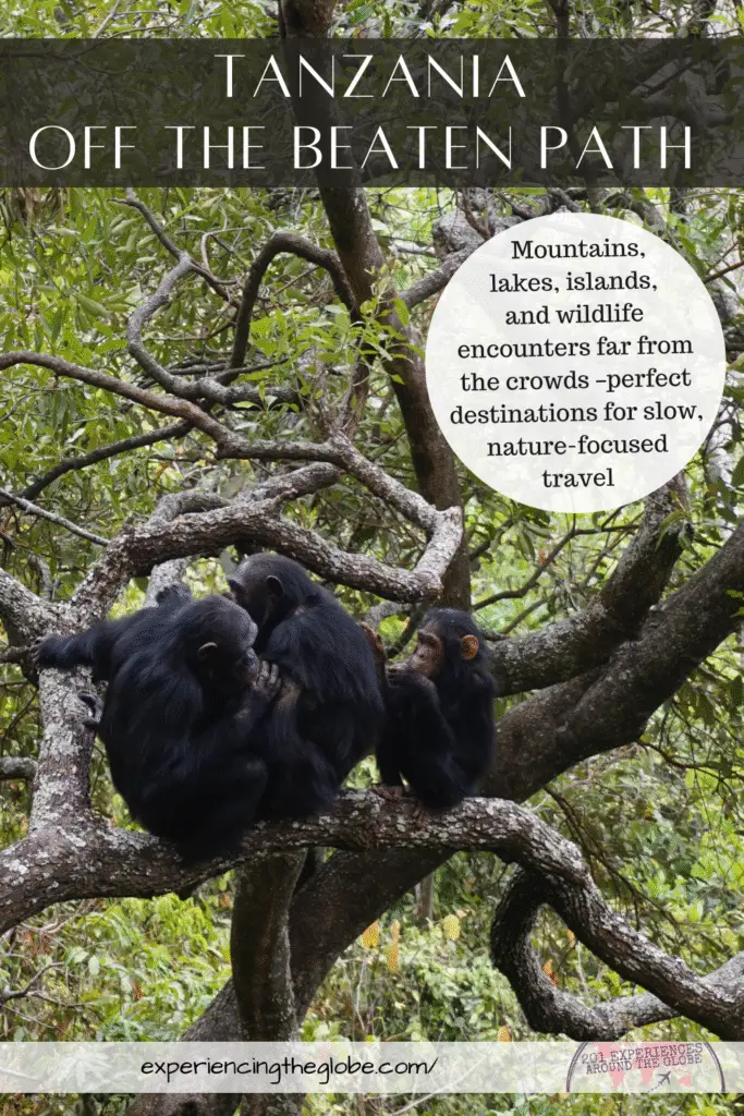 Discover Tanzania off the beaten path: mountains, lakes, islands, and wildlife encounters far from the crowds –perfect for nature-focused, slow travel
