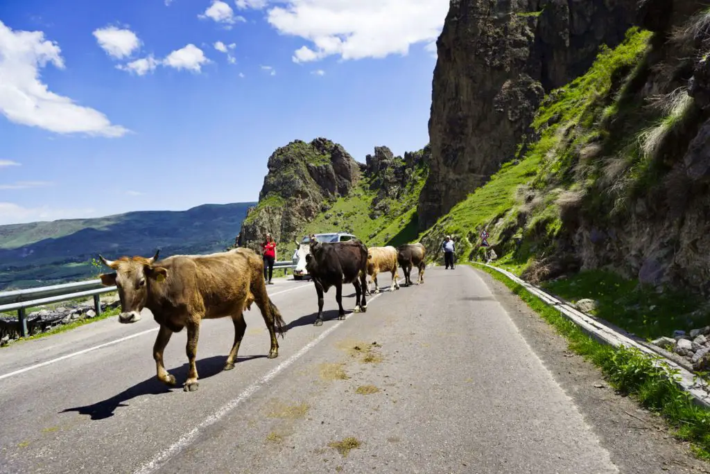 Vardzia, Georgia - Experiencing the Globe