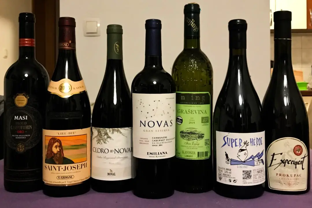 Wines from the world - Experiencing the Globe